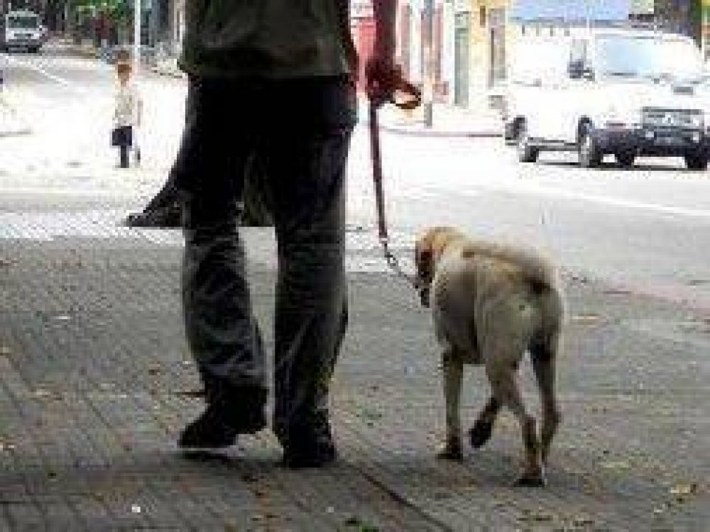 La Plata: Proponen multas de hasta $ 600 por excremento de mascotas