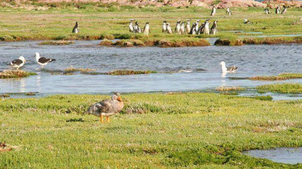 En Camarones estar� la sede de la administraci�n del Parque Marino