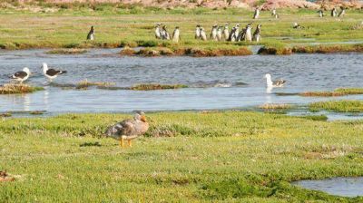 En Camarones estar� la sede de la administraci�n del Parque Marino