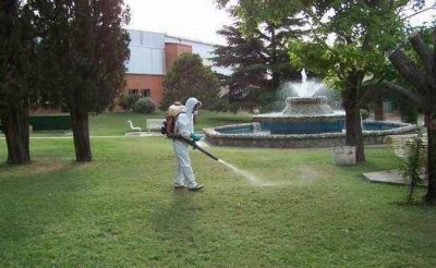 Por las fuertes lluvias, adelantan las fumigaciones en San Francisco