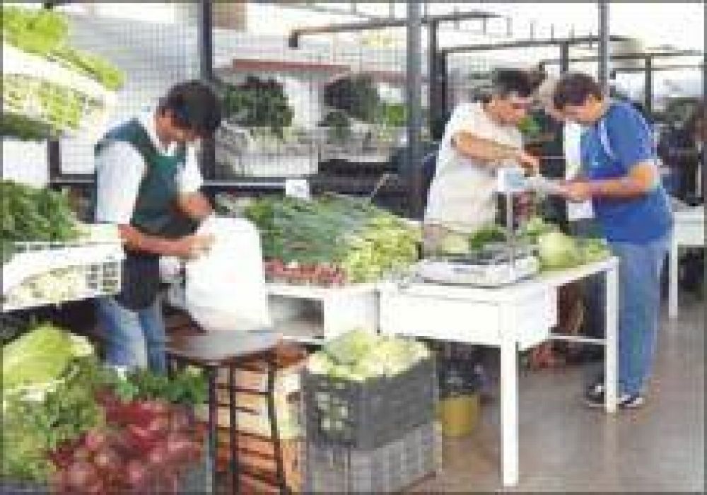 �El objetivo es sumar a m�s productores al sistema de comercializaci�n�, indic� Maciel