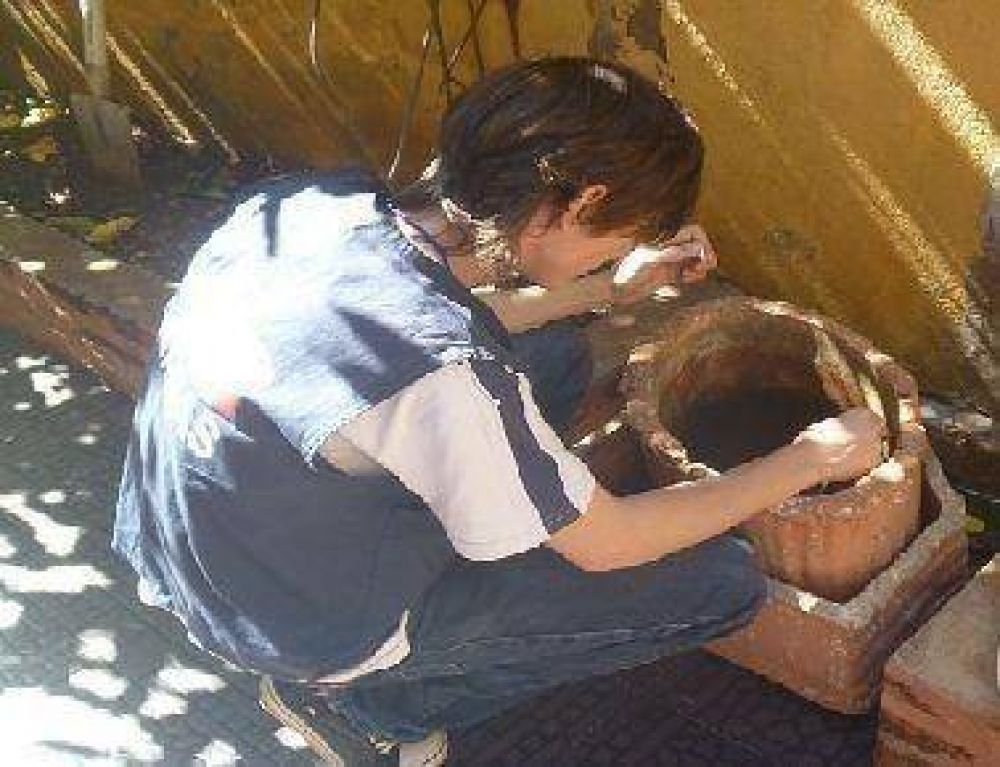 Contin�a en domicilios de Posadas relevamiento para prevenir enfermedades vectoriales