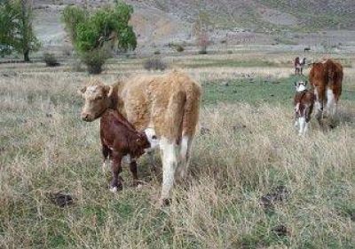 Destinan $224 mil a los CLER 