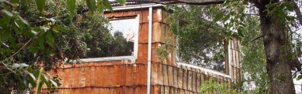 Declararon de inter�s el ArqBio Patagonia