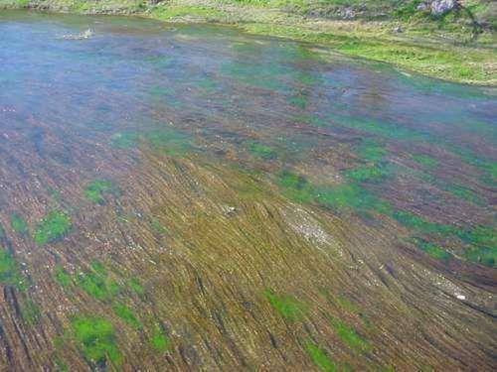 Principales usos del Arroyo del Azul y sus efectos desde una mirada ecol�gica