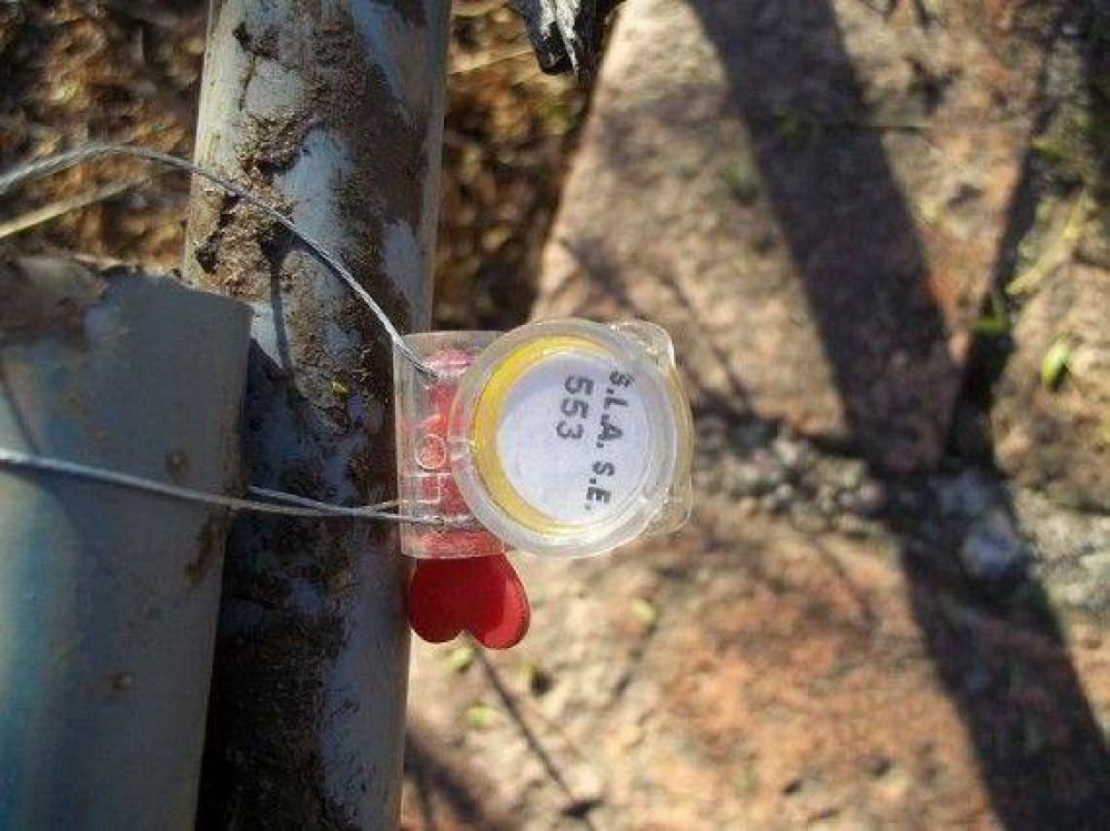 San Luis Agua detect� nuevas infracciones en El Suyuque
