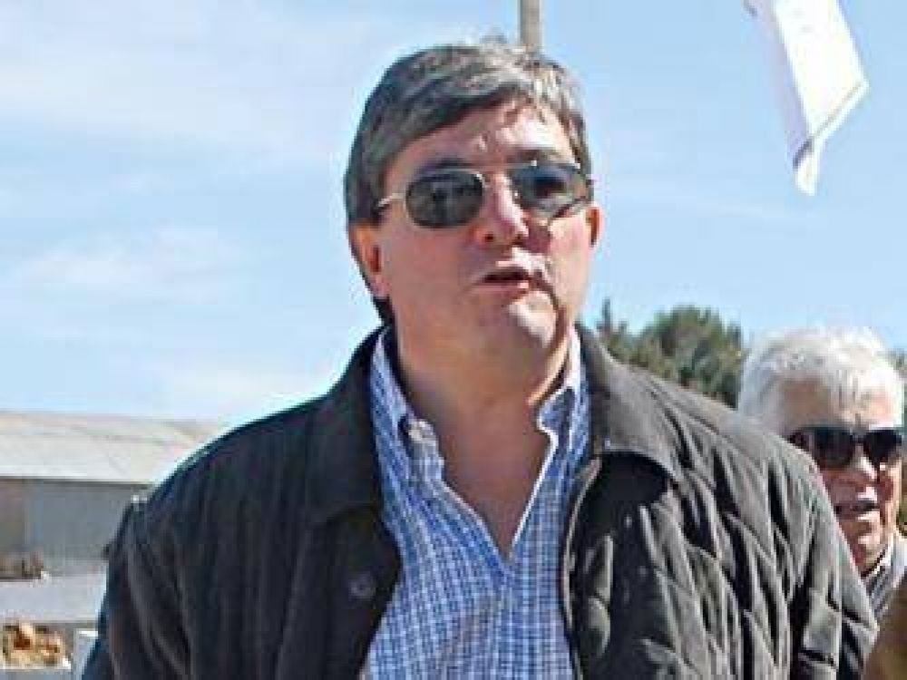 Sacco: �Hay un mill�n de cabezas menos de ovinos�