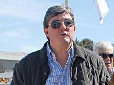 Sacco: �Hay un mill�n de cabezas menos de ovinos�