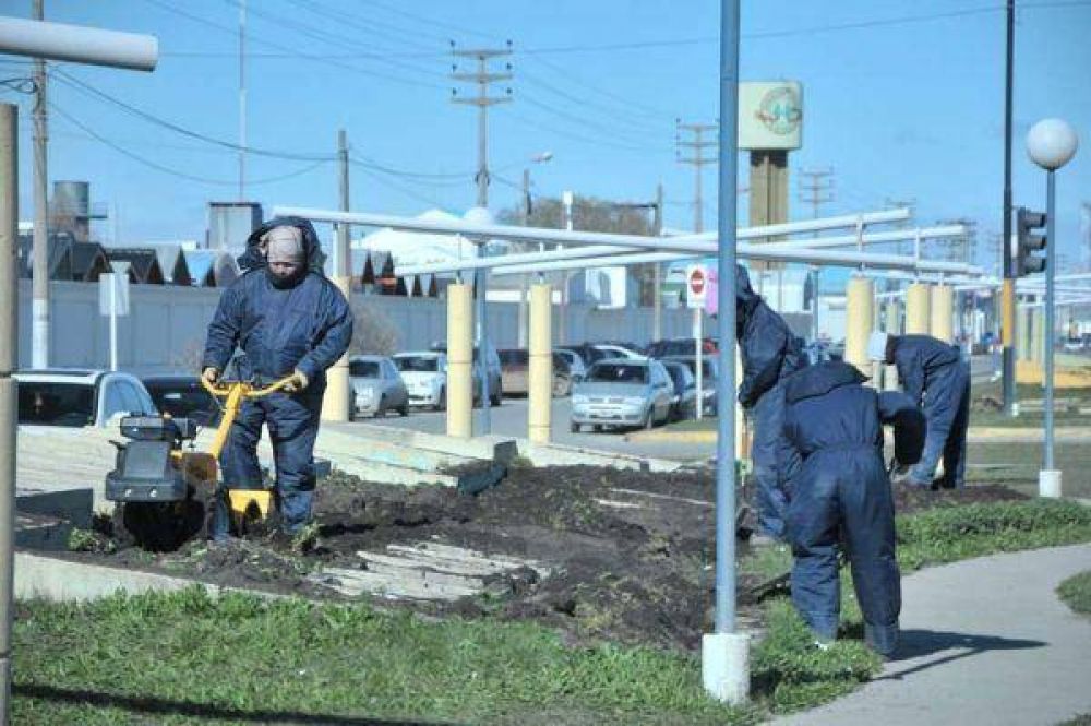 El Municipio prosigue con los trabajos de embellecimiento de espacios p�blicos