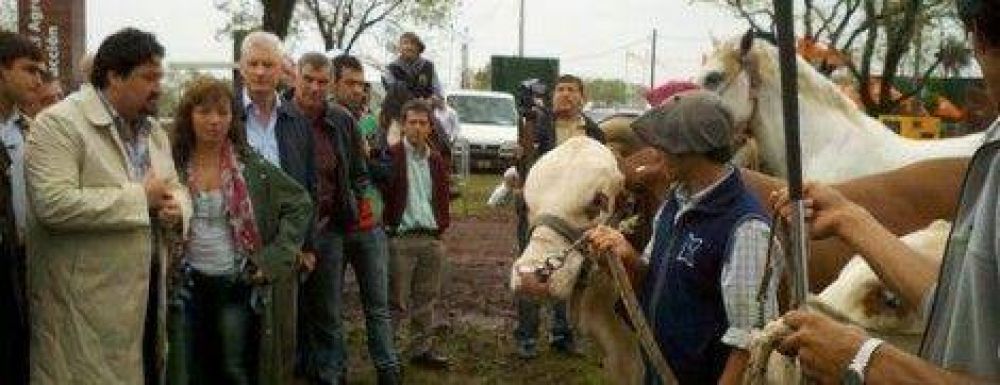 Arranc� la primera exposici�n de Ganader�a y Gen�tica Bovina del Mercosur