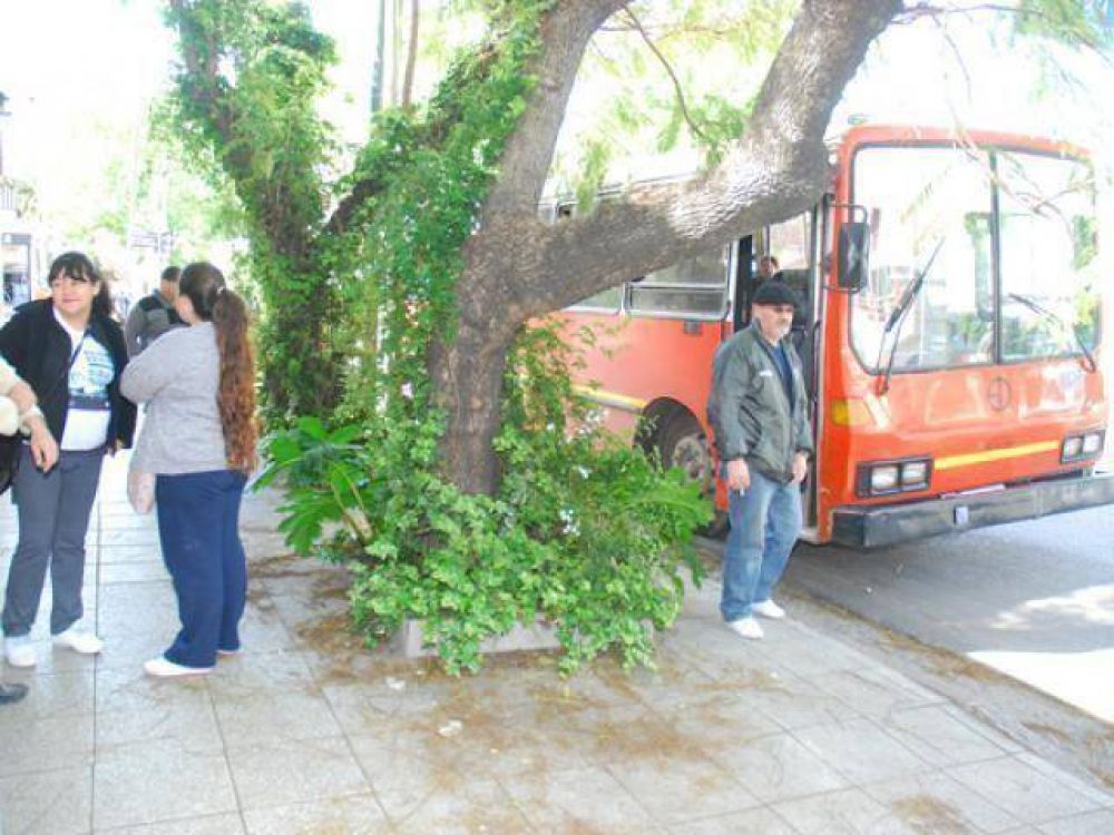 Marcha de estatales