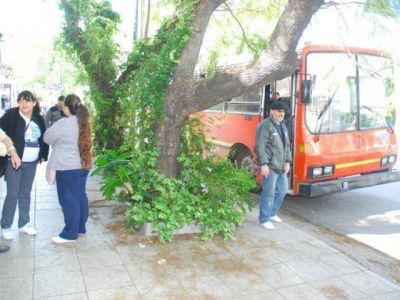 Marcha de estatales