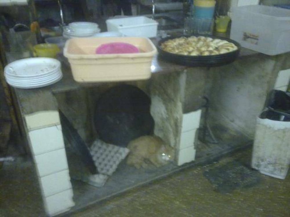 Clausuraron una pizzer�a-bar por falta de condiciones sanitarias