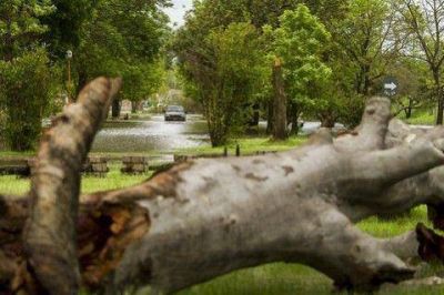 Nuevo repunte del r�o Gualeguaych�: se espera que el pico supere los 4 metros