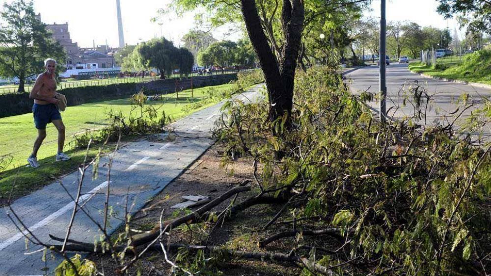 Espacios Verdes sigue con la �rama atada�
