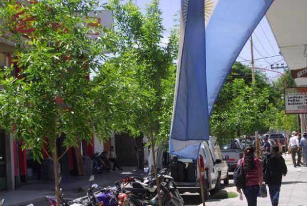 La reforestaci�n va mostrando muy buenos resultados