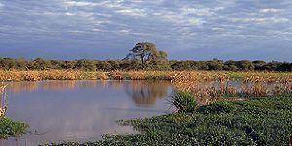 Declararon de utilidad p�blica todos los reservorios de agua