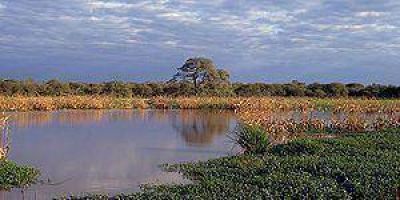 Declararon de utilidad p�blica todos los reservorios de agua
