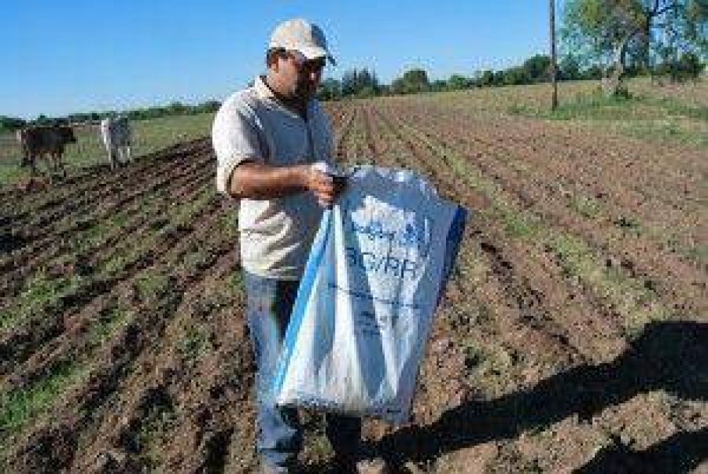 Se inicia la distribuci�n de insumos de algod�n para peque�os productores