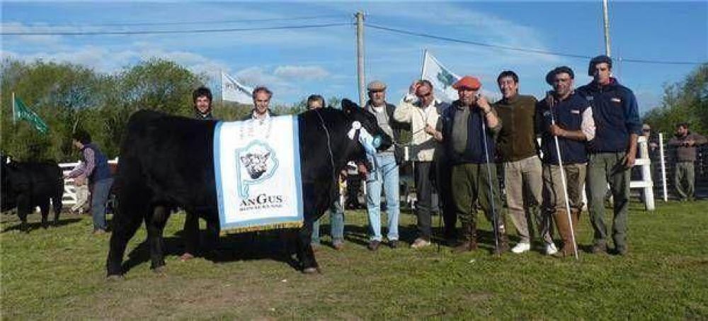 Inamb� y La Loma consagraron sus animales en Olavarr�a