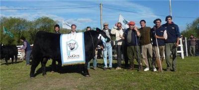 Inamb� y La Loma consagraron sus animales en Olavarr�a