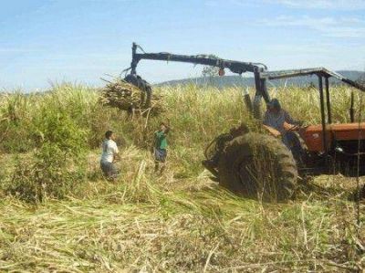 El ingenio azucarero San Javier triplicar� su capacidad de producci�n