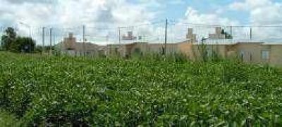 Para proteger a vecinos prohiben fumigar con agroqu�micos 