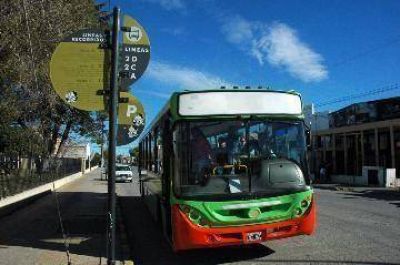Viedma analiza la movilidad urbana