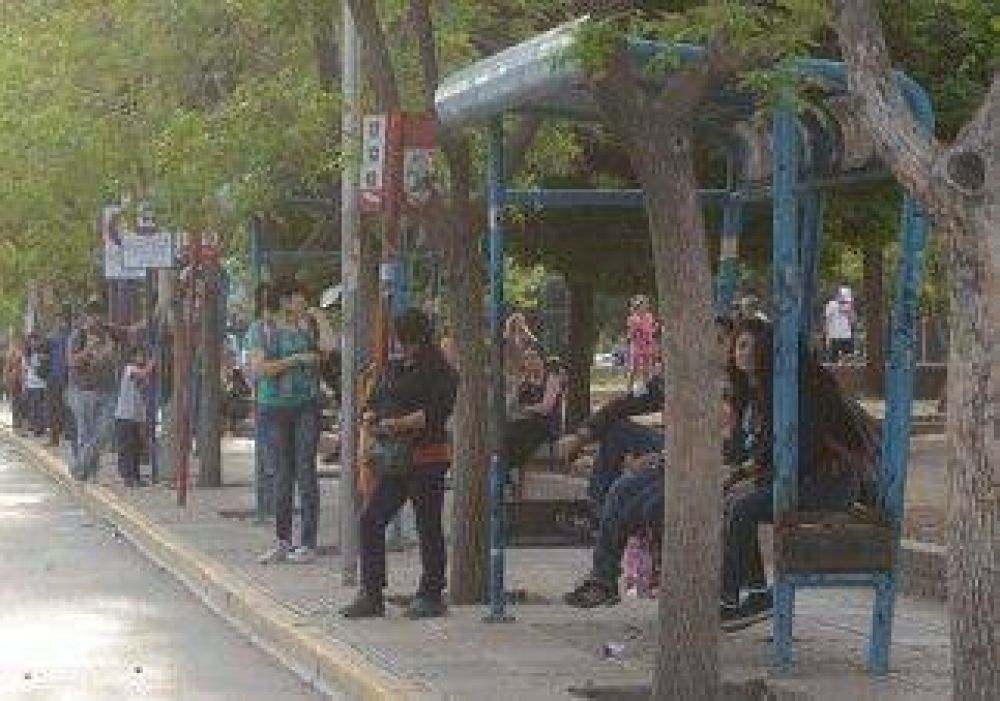Construir�n 41 nuevos refugios de colectivos 