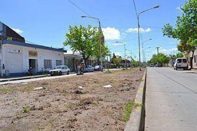 Est� en marcha la remodelaci�n integral de los canteros centrales en bulevar V�lez S�rsfield 