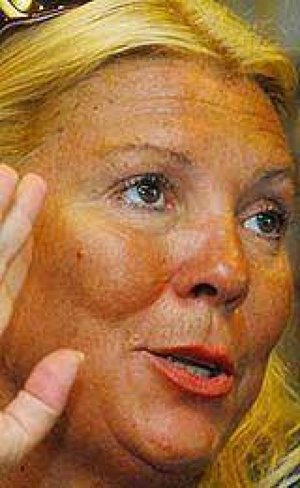Carri� no descart� que Cristina tenga que adelantar tambi�n las elecciones presidenciales 