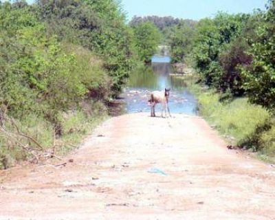 Las familias evacuadas suman veintid�s