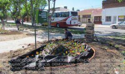 Colocan flores en plazas y paseos de nuestra ciudad