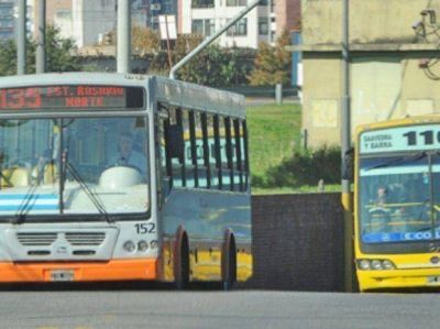 Quieren renovar el transporte urbano con 120 coches 0 kil�metro