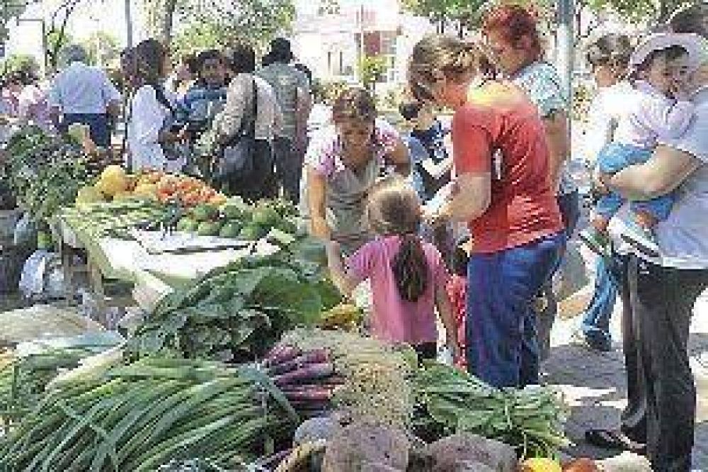 Los productores Ferisaf se convirtieron en una cooperativa