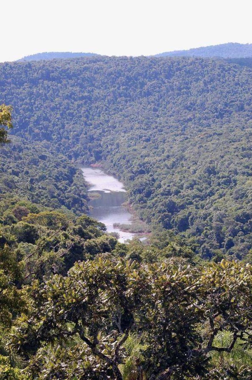 Nuevamente la Reserva Yabot�, v�ctima de cazadores furtivos