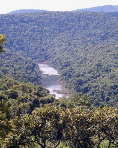Nuevamente la Reserva Yabot�, v�ctima de cazadores furtivos