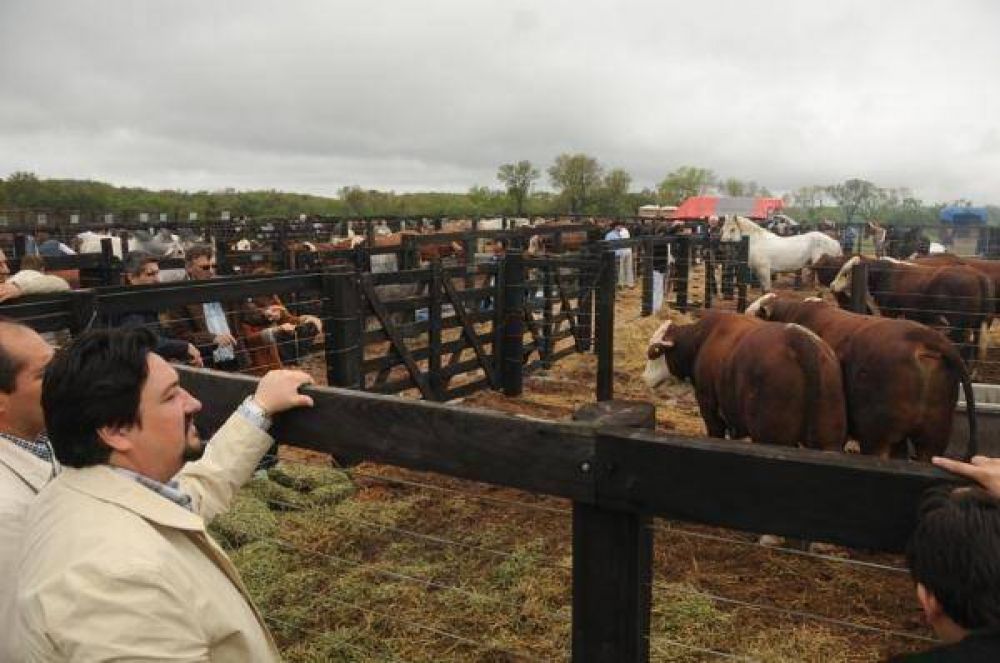 Closs: El desarrollo agroforestal y silvopastoril debe ser una obsesin del productor