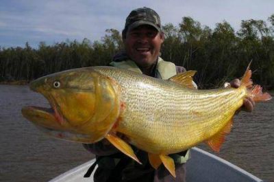 Desde enero regir� nueva disposici�n para la pesca