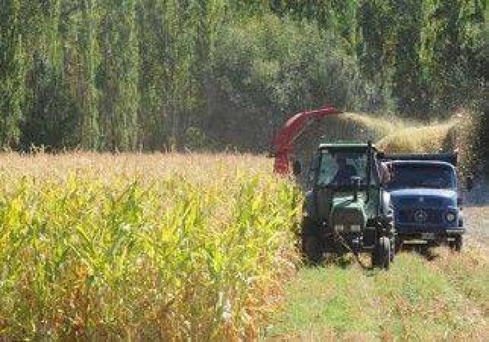 Aumentaron un 300% los fondos de cr�ditos para Pymes en la provincia 