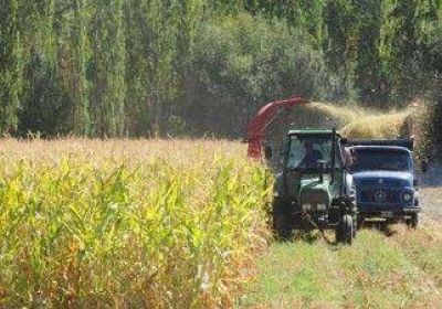 Aumentaron un 300% los fondos de cr�ditos para Pymes en la provincia 