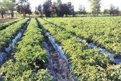 Organizan jornada sobre el uso eficiente del agua de riego 