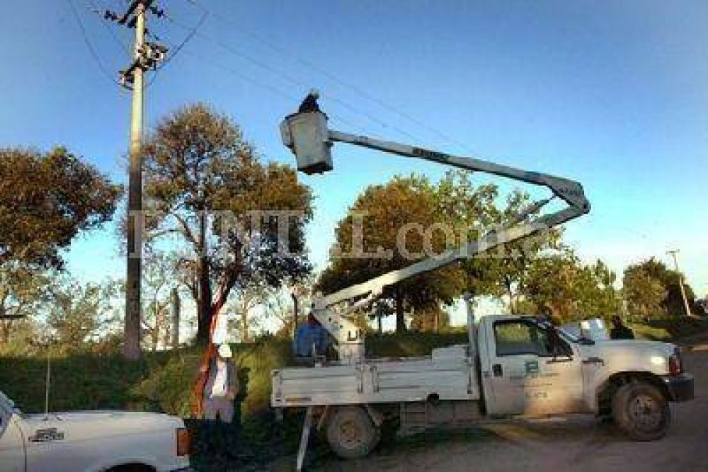  R�fagas de viento de 60 km/h cortaron cables, ramas y hasta �rboles completos