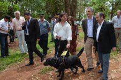 Passalacqua: �Con el Programa de perros gu�as Misiones es vanguardia a nivel nacional�