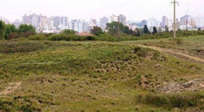 El parque resiste a la espera de mejor destino