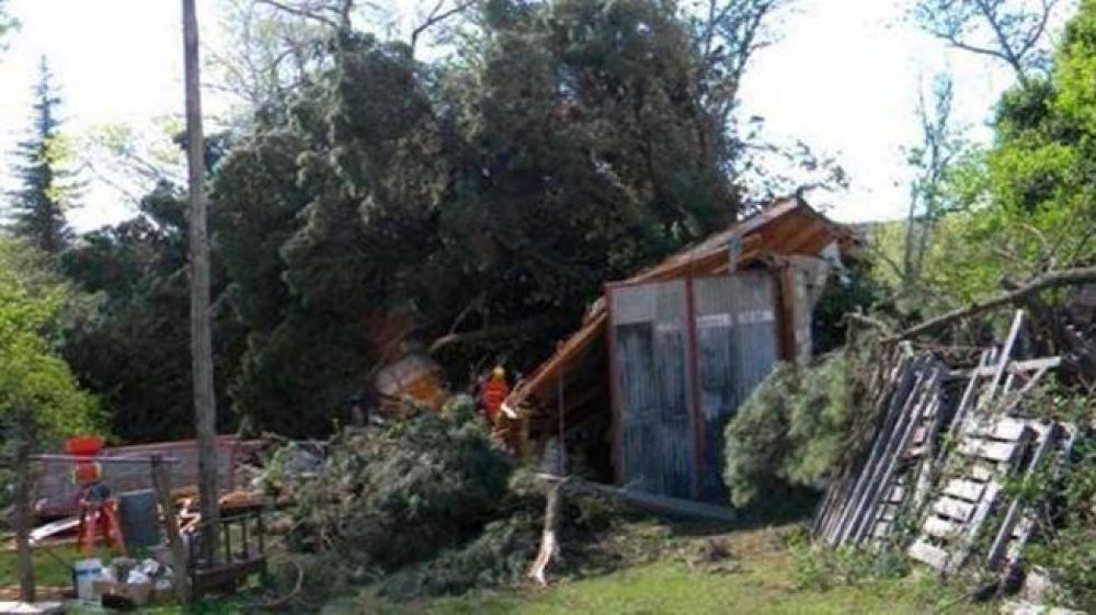 Un muerto, da�os en decenas de casas y miles de �rboles ca�dos
