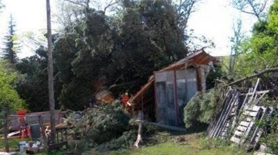Un muerto, da�os en decenas de casas y miles de �rboles ca�dos