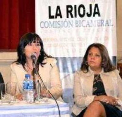 C�digo Civil y Comercial. La UCR apunt� sus ca�ones contra CFK