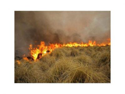  Desalojan una escuela rural en Malarg�e por un incendio que ya arras� 10.000 hect�reas