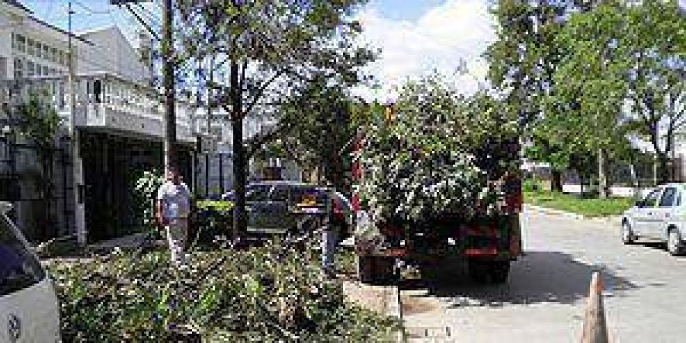 Importante operativo de limpieza tras la tormenta